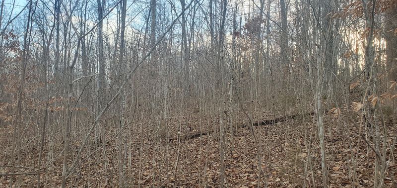 Lot 12 Hickory Pointe, Maynardville, TN 37807