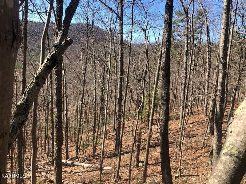 Lot 12 John Sevier Rd, Sevierville, TN 37876