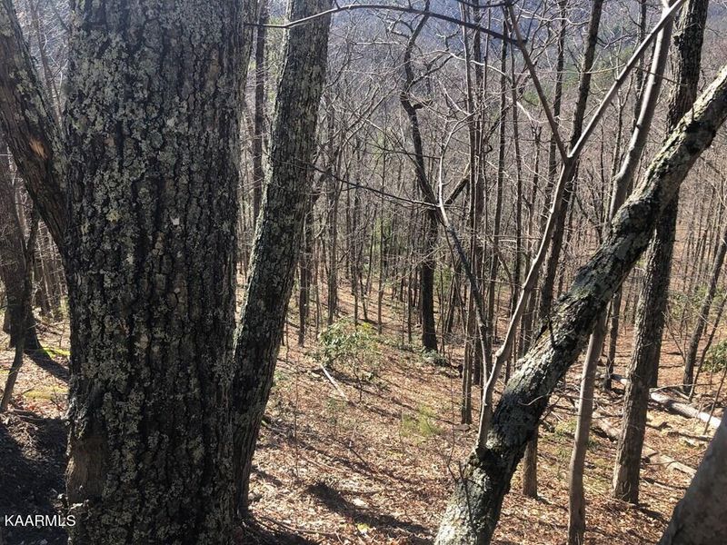 Lot 12 John Sevier Rd, Sevierville, TN 37876