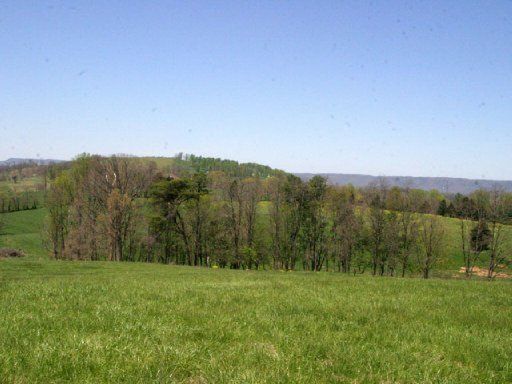 Lot 12 Locust Rd, Rutledge, TN 37861