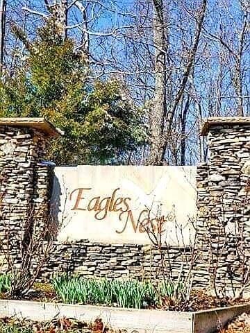 Lot 12 Lower Eagle's Nest, Crab Orchard, TN 37723
