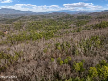 Lot 12 Paint Horse Way, Sevierville, TN 37876
