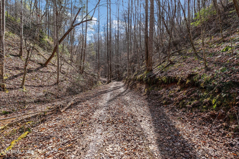 Lot 12 Paint Horse Way, Sevierville, TN 37876