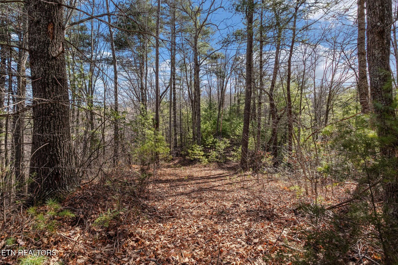 Lot 12 Paint Horse Way, Sevierville, TN 37876