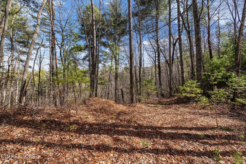 Lot 12 Paint Horse Way, Sevierville, TN 37876