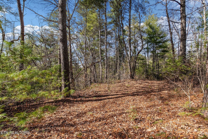 Lot 12 Paint Horse Way, Sevierville, TN 37876