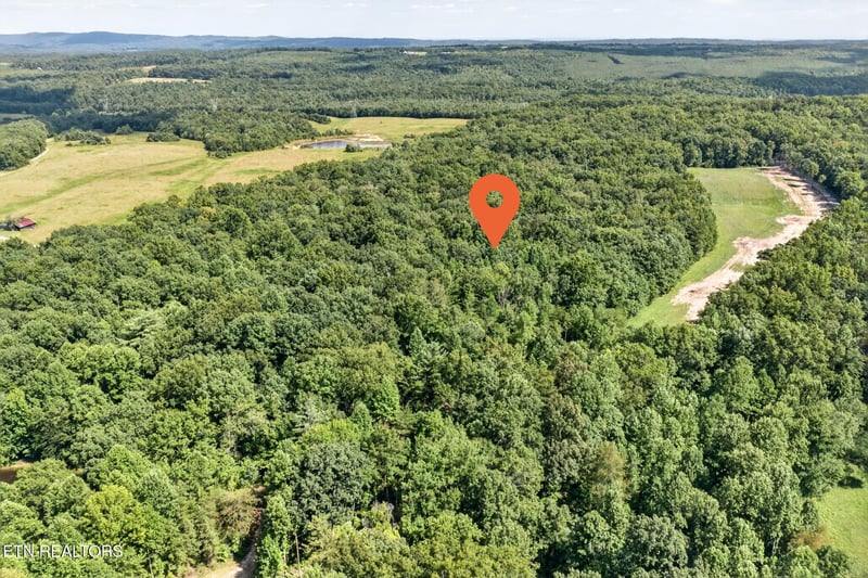 Lot 12 Smith Mountain Rd, Rockwood, TN 37854