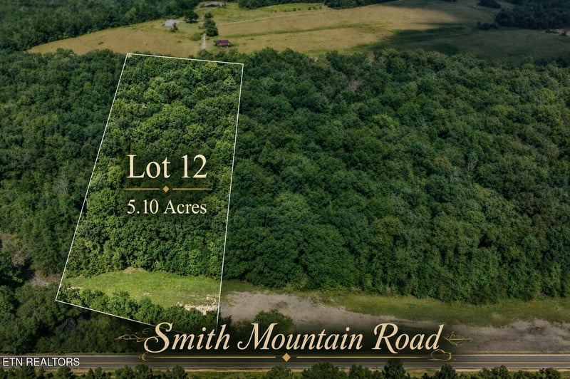 Lot 12 Smith Mountain Rd, Rockwood, TN 37854