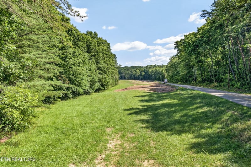 Lot 12 Smith Mountain Rd, Rockwood, TN 37854