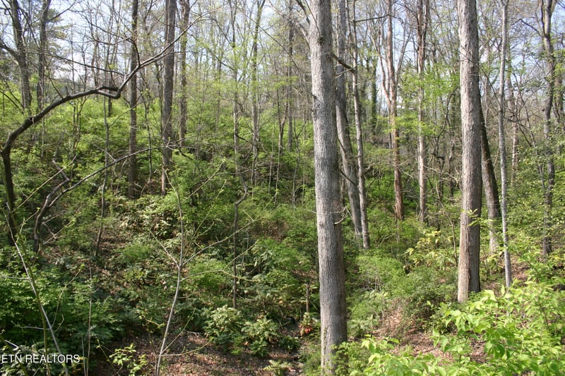 Lot 12 Vanhorn Rd, Knoxville, TN 37918