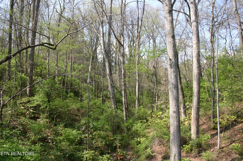 Lot 12 Vanhorn Rd, Knoxville, TN 37918
