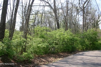 Lot 12 Vanhorn Rd, Knoxville, TN 37918
