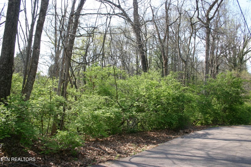 Lot 12 Vanhorn Rd, Knoxville, TN 37918