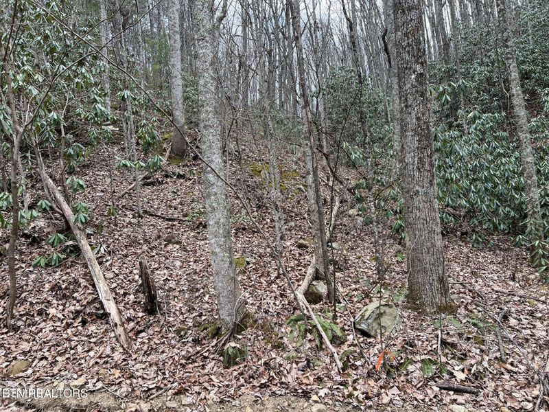 Lot 120 John Sevier Dr, Sevierville, TN 37876