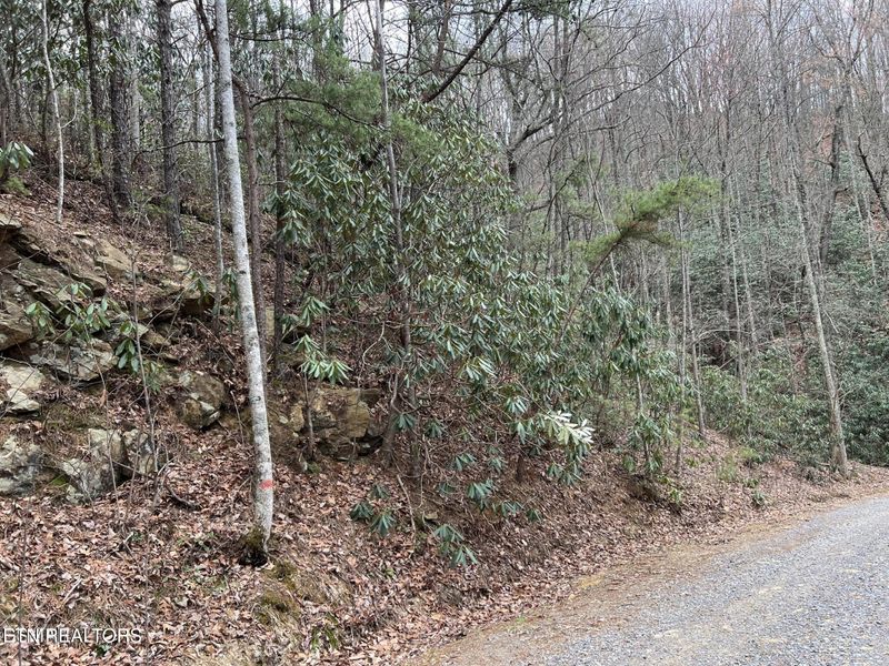 Lot 120 John Sevier Dr, Sevierville, TN 37876
