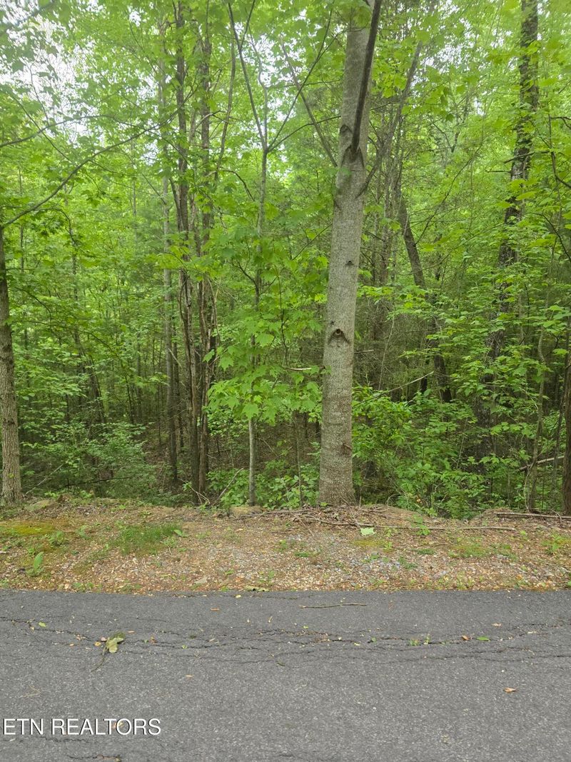 LOT 120 Lower Bluff Way, Sevierville, TN 37862