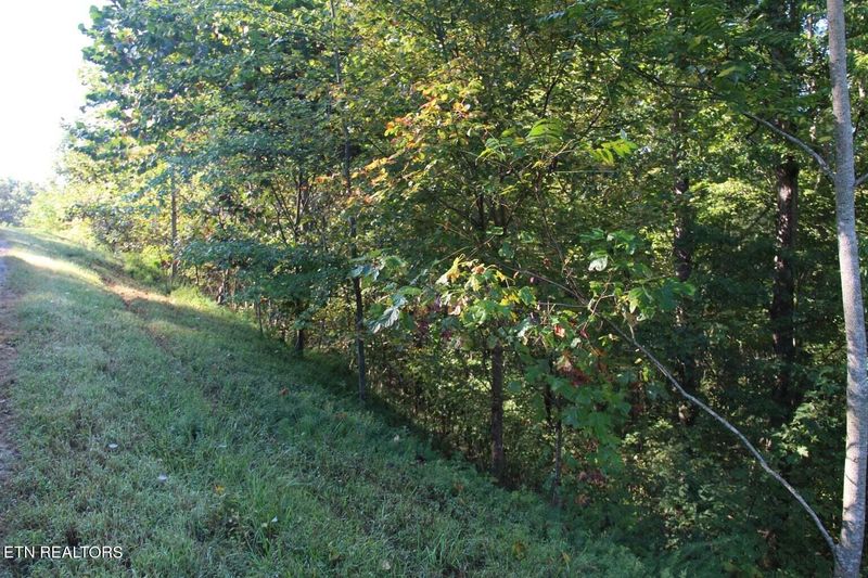 Lot 125 Old Hearth, Lafollette, TN 37766