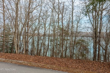 Lot 127 Thief Neck Dr, Rockwood, TN 37854