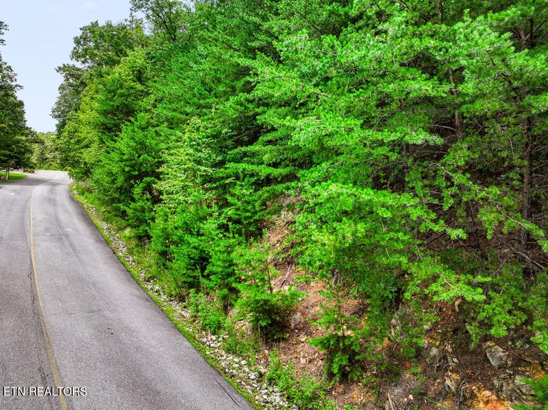 Lot 127E Settlers View Ln, Sevierville, TN 37862