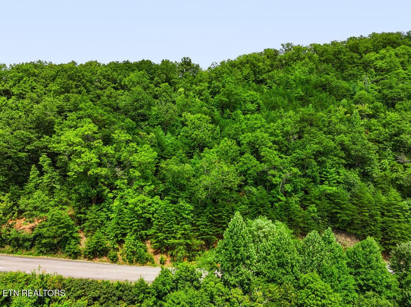 Lot 127E Settlers View Ln, Sevierville, TN 37862