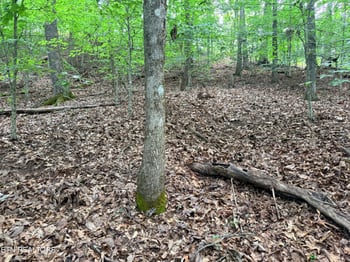 Lot 128 Islandview Point, Sharps Chapel, TN 37866