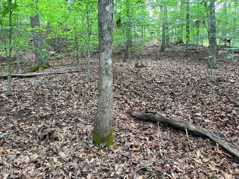 Lot 128 Islandview Point, Sharps Chapel, TN 37866