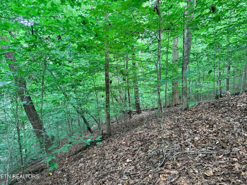 Lot 128 Islandview Point, Sharps Chapel, TN 37866