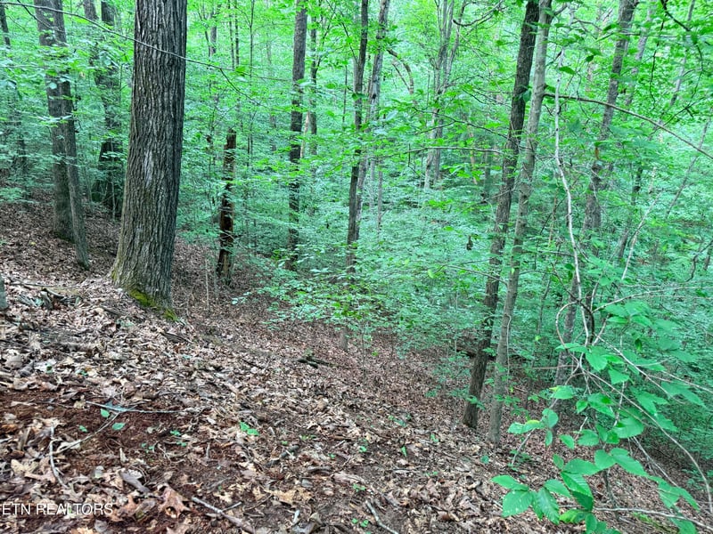 Lot 128 Islandview Point, Sharps Chapel, TN 37866