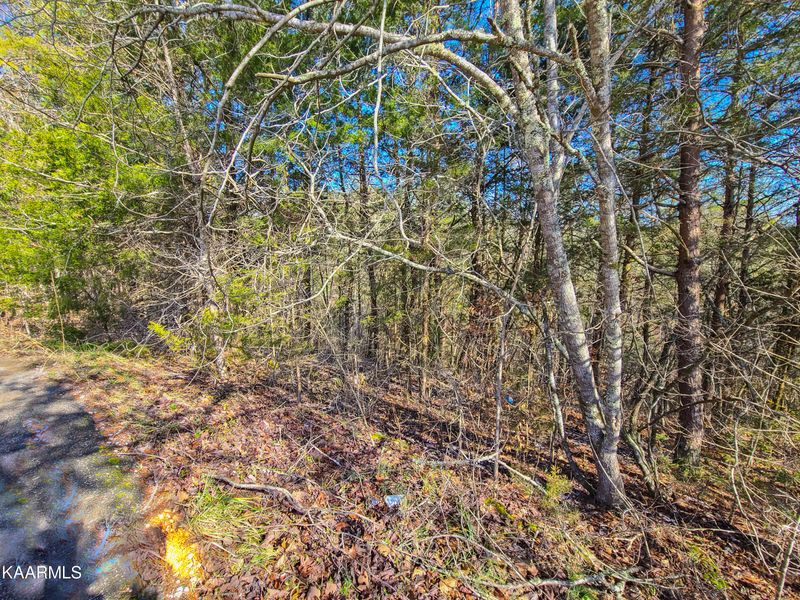 Lot 12R White Oak Tree Ln, Sevierville, TN 37876