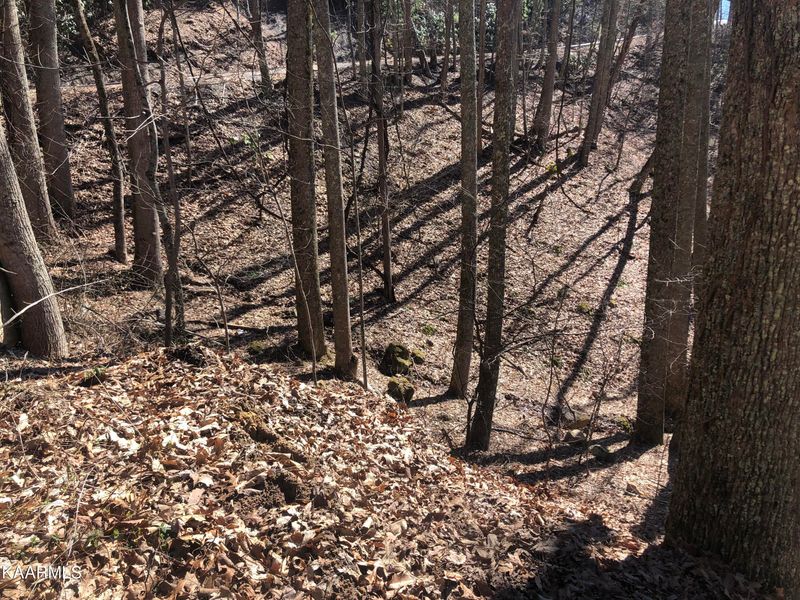 Lot 13 Alpine Dr, Sevierville, TN 37876