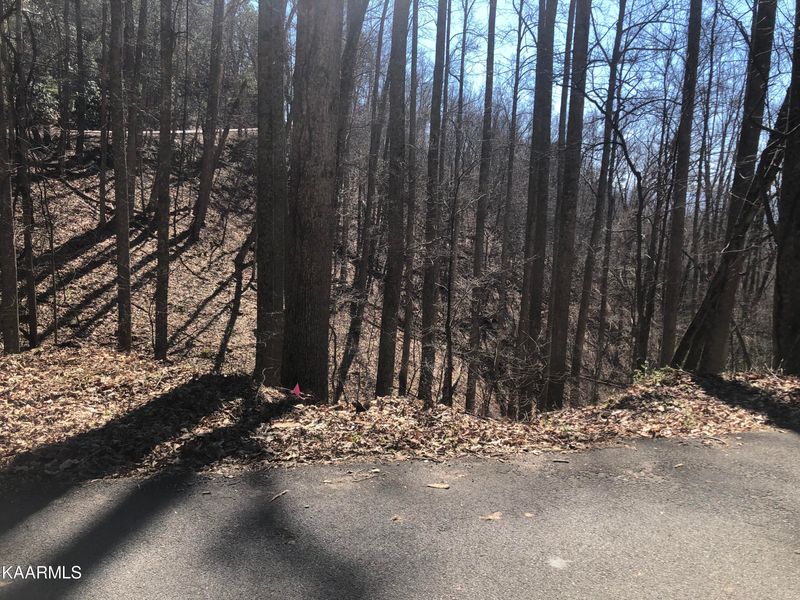 Lot 13 Alpine Dr, Sevierville, TN 37876