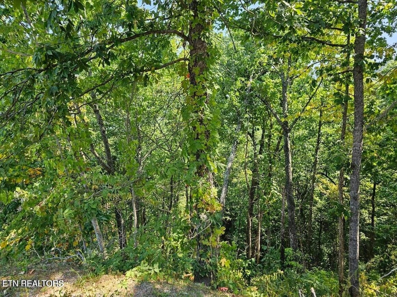 Lot 13-AR Villa Ridge Pl, Sevierville, TN 37862