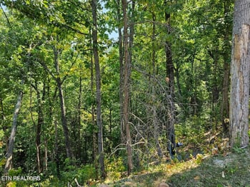 Lot 13-AR Villa Ridge Pl, Sevierville, TN 37862