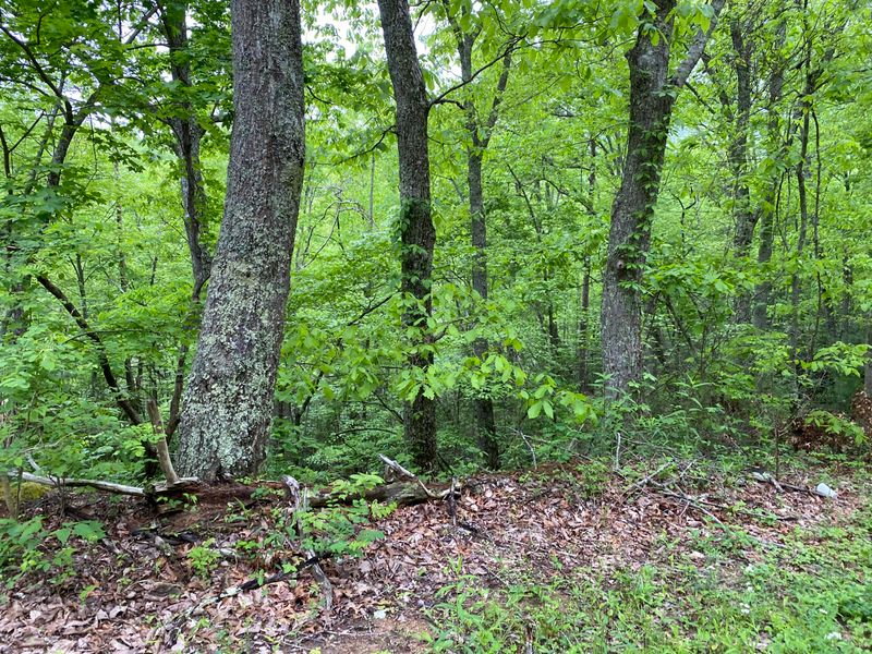 Lot 13 Black Oak Dr, Sevierville, TN 37876