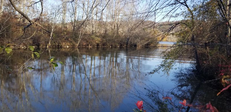 Lot 13 Blue Heron Dr, Harriman, TN 37748