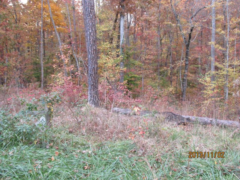 Lot 13 Eagle Ridge Rd, Rockwood, TN 37854