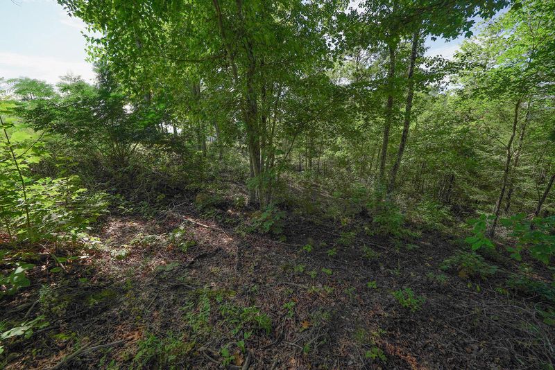 Lot 13 Mountain Ash Way, Sevierville, TN 37876