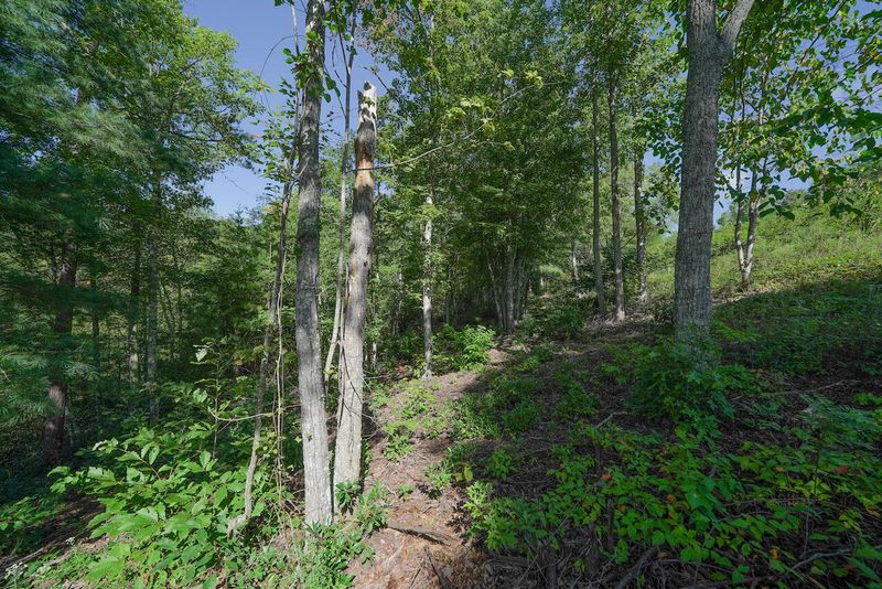 Lot 13 Mountain Ash Way, Sevierville, TN 37876