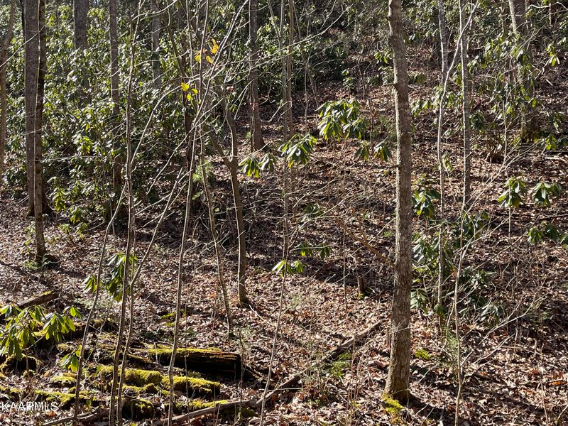 Lot 13 Stonegate Way, Townsend, TN 37882