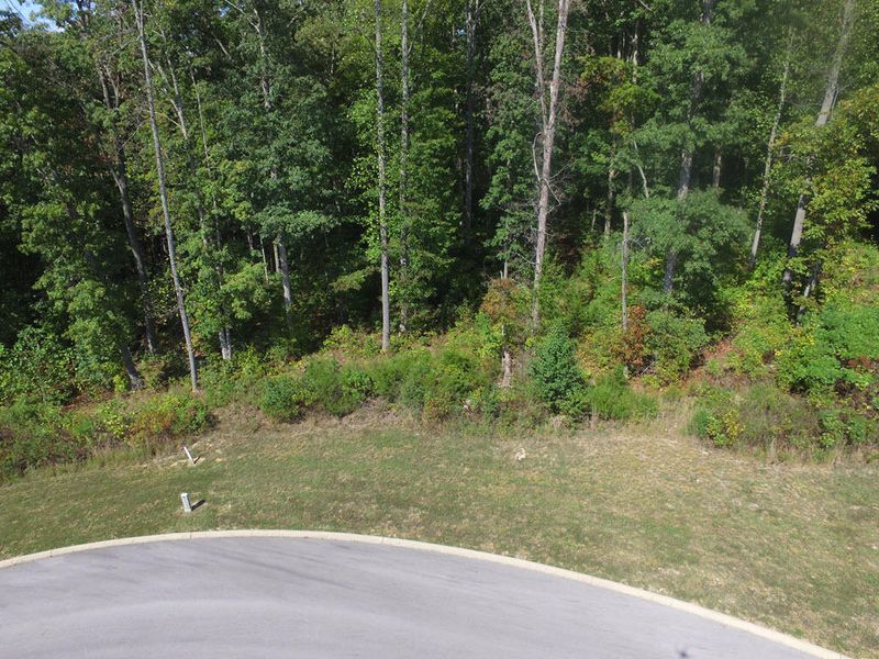 Lot 133 Tumbleweed Tr, Rutledge, TN 37861