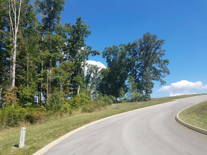 Lot 133 Tumbleweed Tr, Rutledge, TN 37861