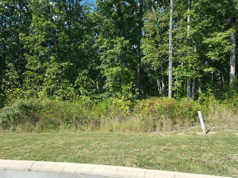 Lot 133 Tumbleweed Tr, Rutledge, TN 37861