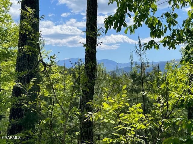 Lot 134 Summit Trails Dr, Sevierville, TN 37862
