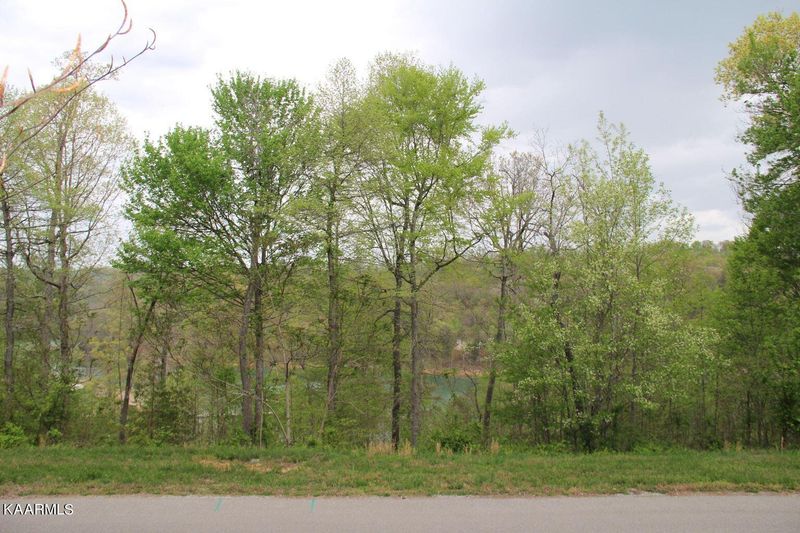 Lot 135 Suncrest Cv, Lafollette, TN 37766