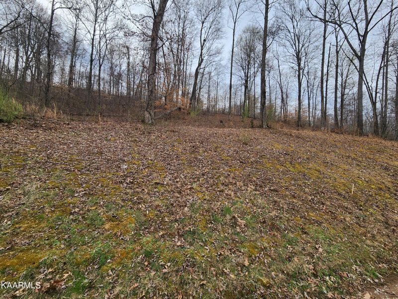 Lot 137 Suncrest Cv, Lafollette, TN 37766
