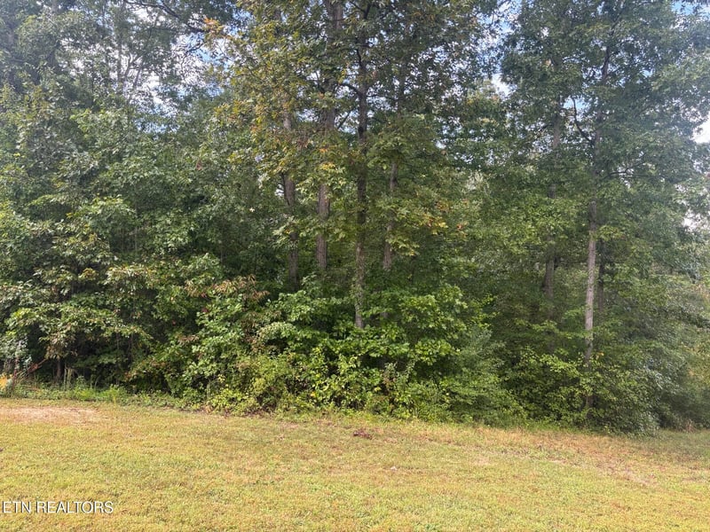 Lot 14-15 Hardin Dr, Robbins, TN 37852
