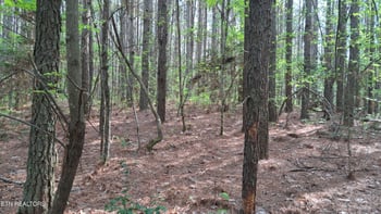 Lot 14 Airport Rd #PCA, Rockwood, TN 37854