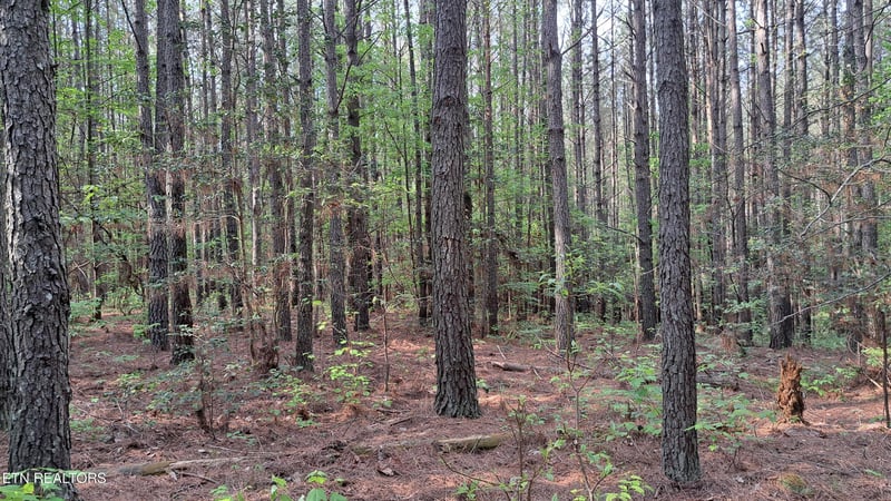 Lot 14 Airport Rd #PCA, Rockwood, TN 37854