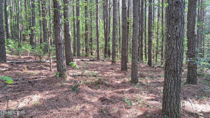 Lot 14 Airport Rd #PCA, Rockwood, TN 37854