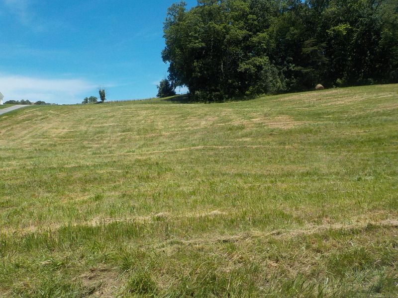 Lot 14 Brown Rd, Blaine, TN 37709